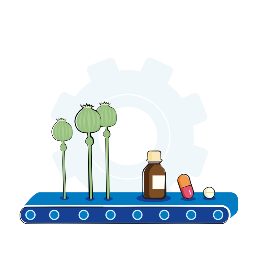 Papaver bestanddeel van opioïden